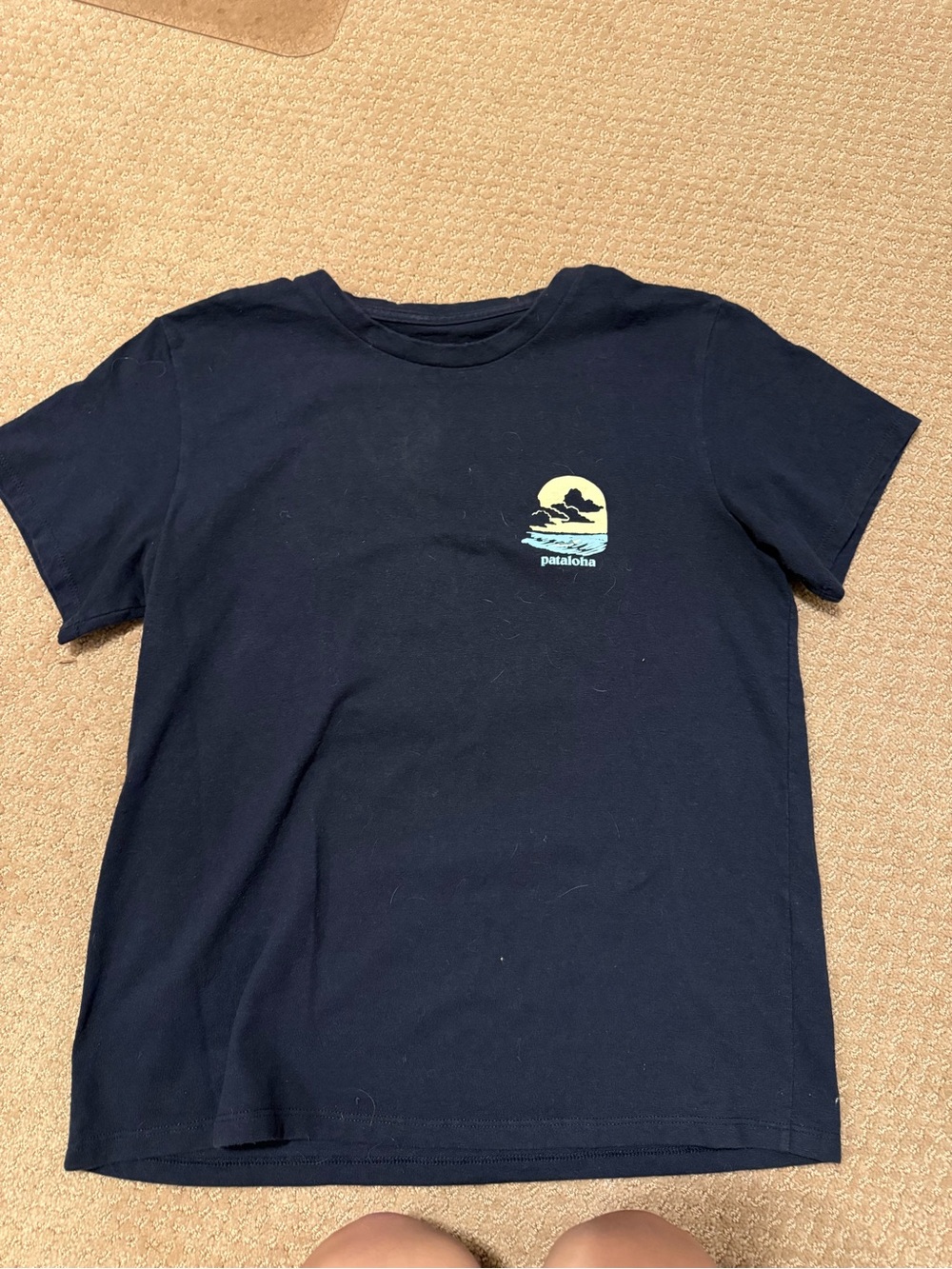 Patagonia Navy Tee with Yellow Sunset Graphic